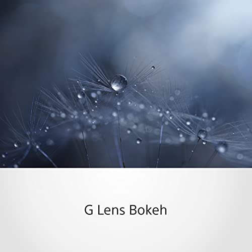 sony-fe-90-mm-f-2-8-g-oss-makro-objektiv-sel90m28g-f-r-e-mount image 8