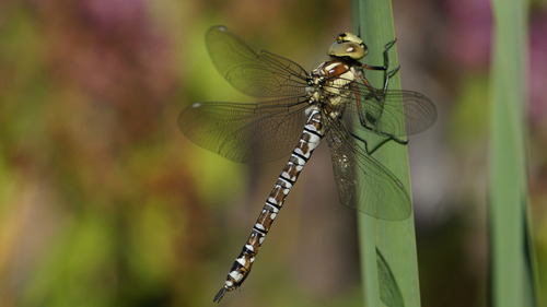Scharfe Bilder