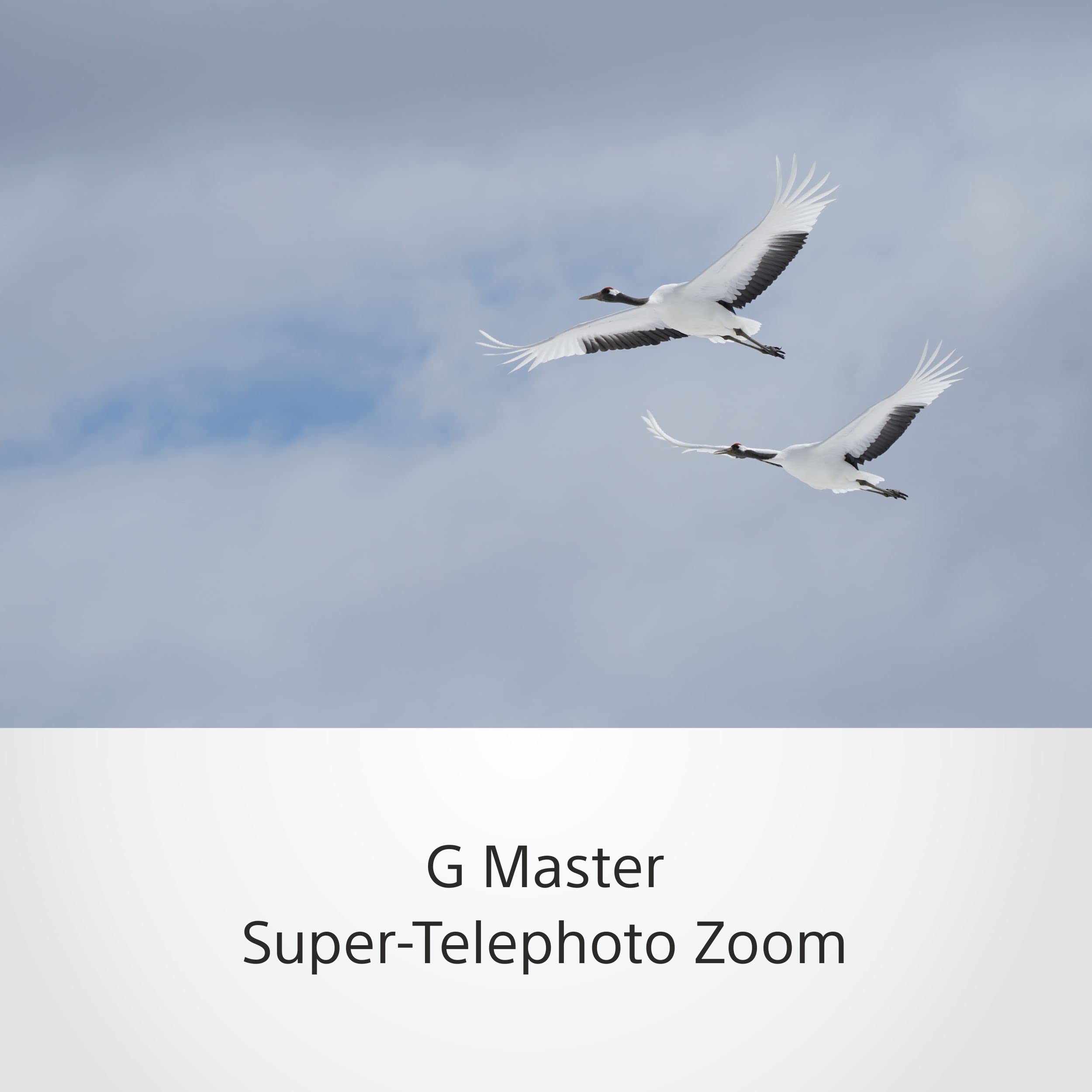 sony-sel100400gm-100-400-mm-f4-5-5-6-g-master-supertele-zoom-f-r-e-mount image 5