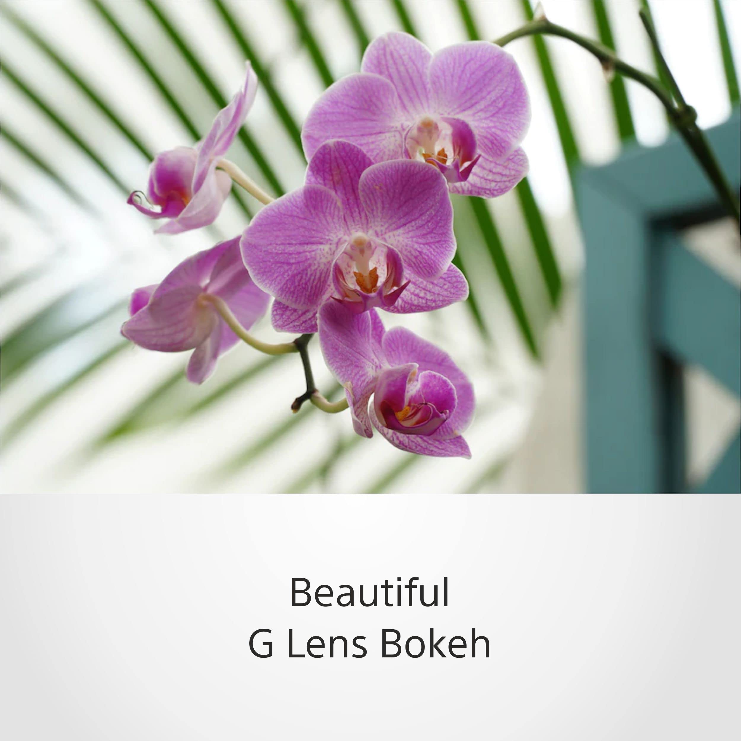 sony-selp18105g-18-105mm-f4-g-oss-powerzoom-objektiv-f-r-aps-c-e-mount image 4