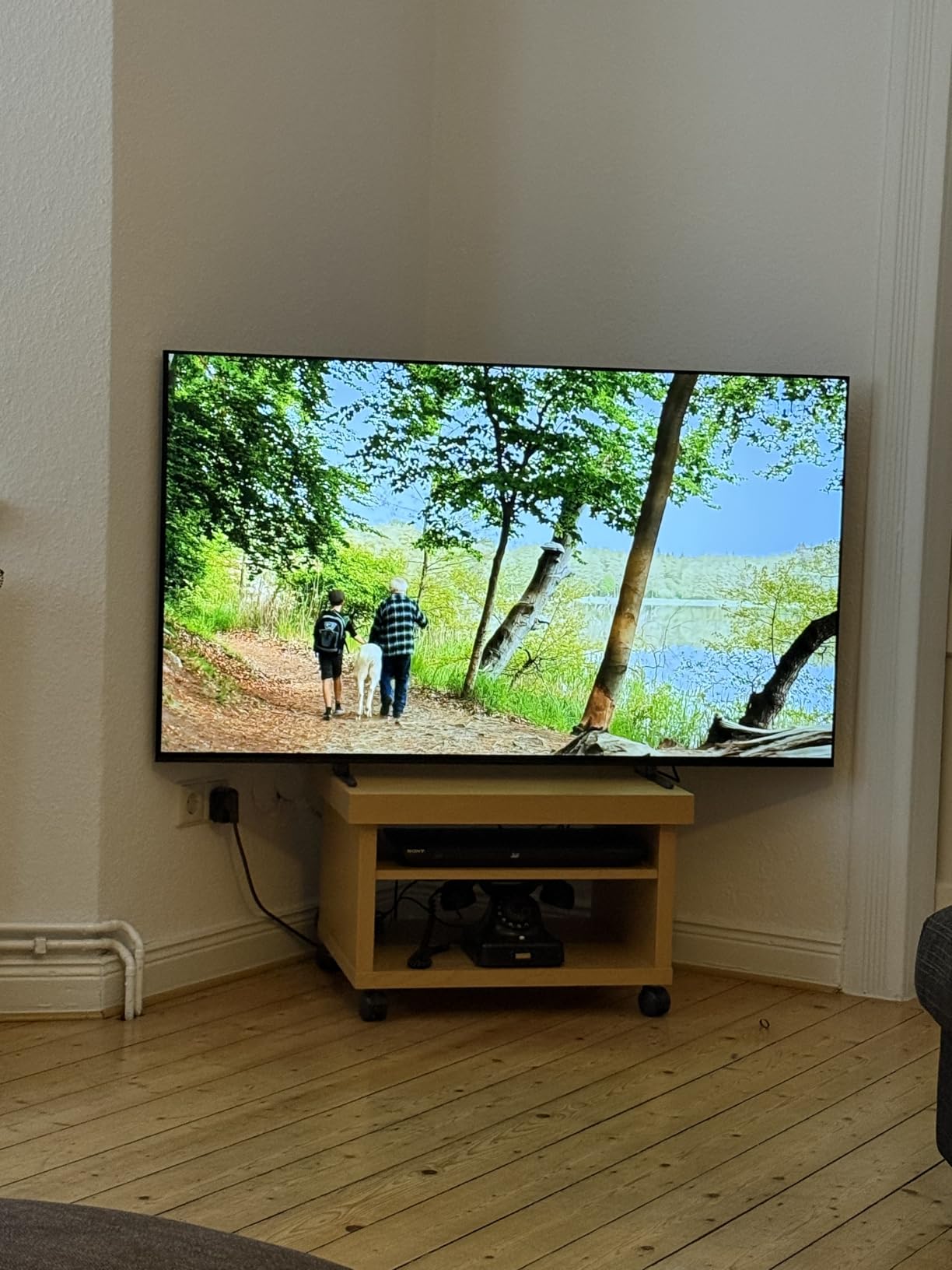 Kino im Wohnzimmer