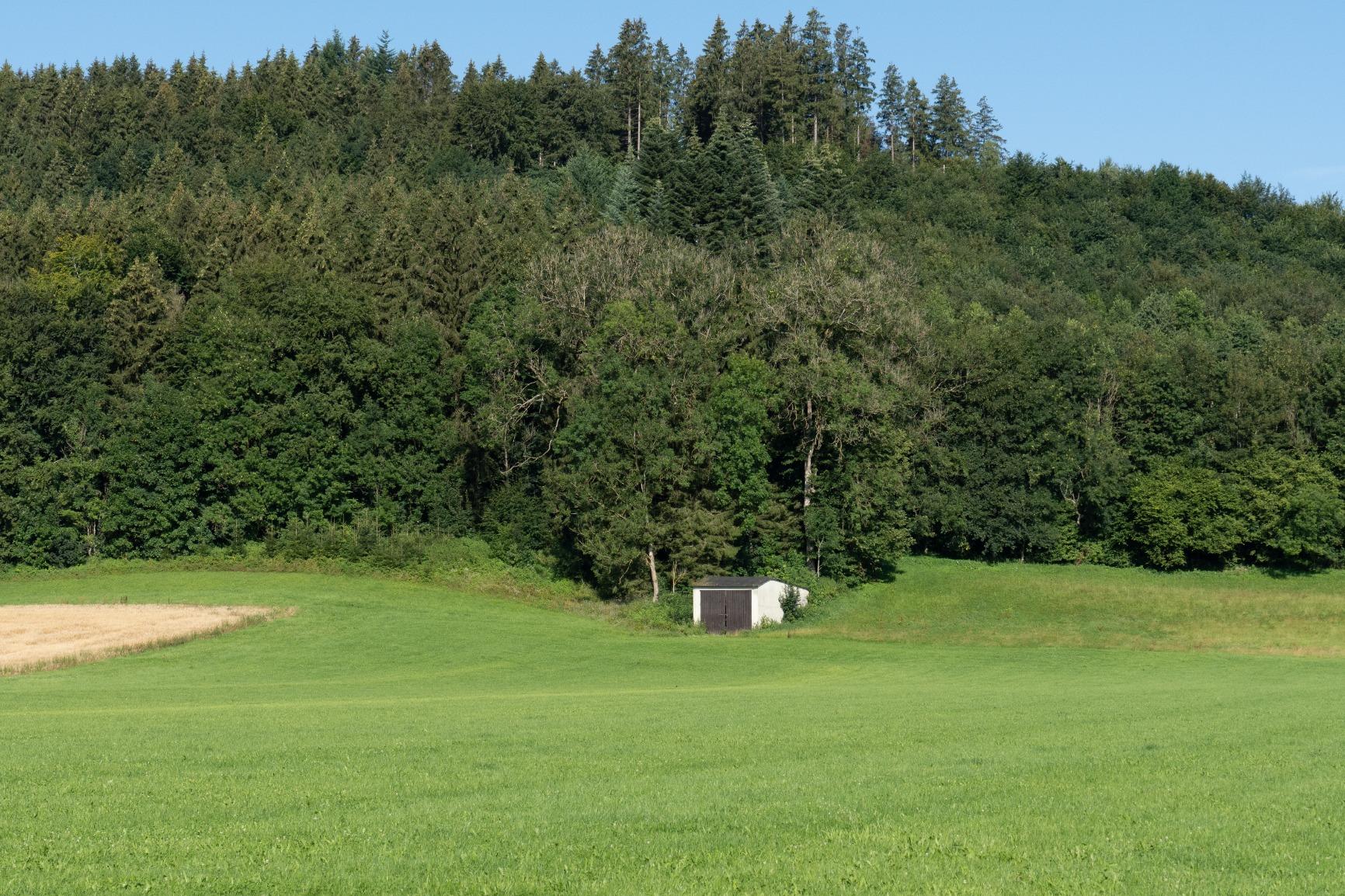 Tolles Alltagsobjektiv