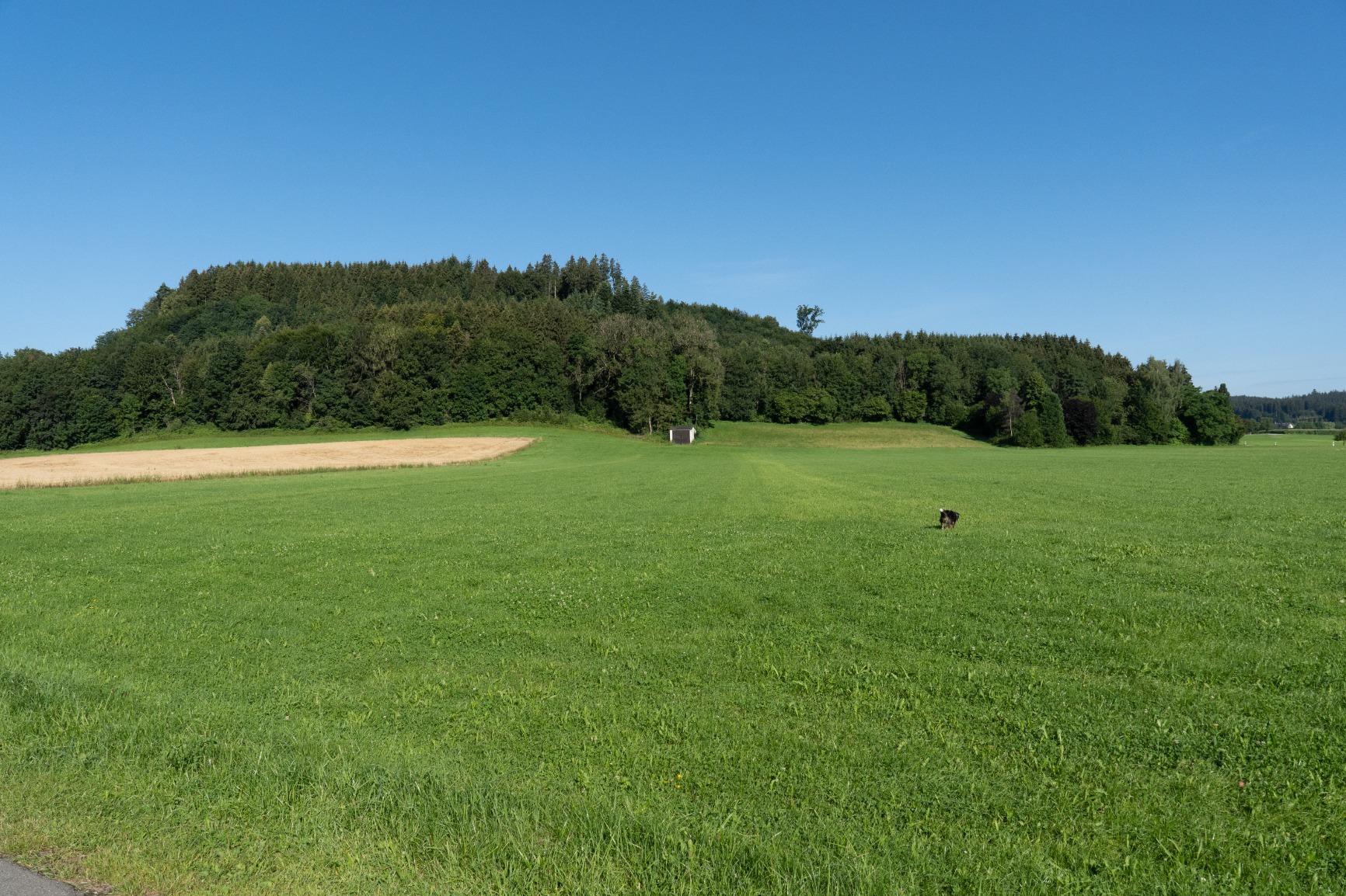 Ein Standard-Zoom wie geschaffen