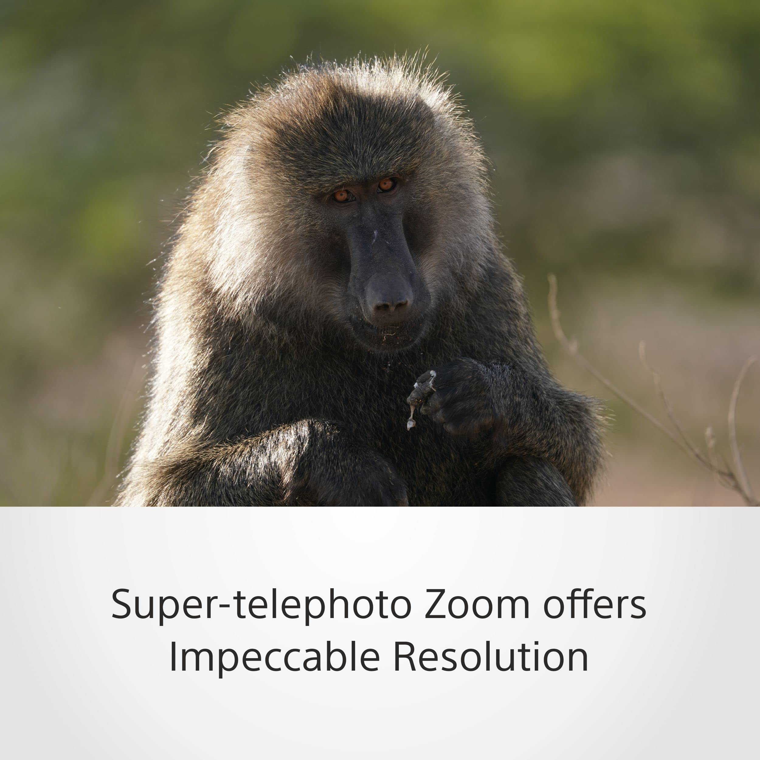 sony-sel200600g-200-600mm-f5-6-6-3-g-telezoom-f-r-e-mount-vollformat-aps-c image 3