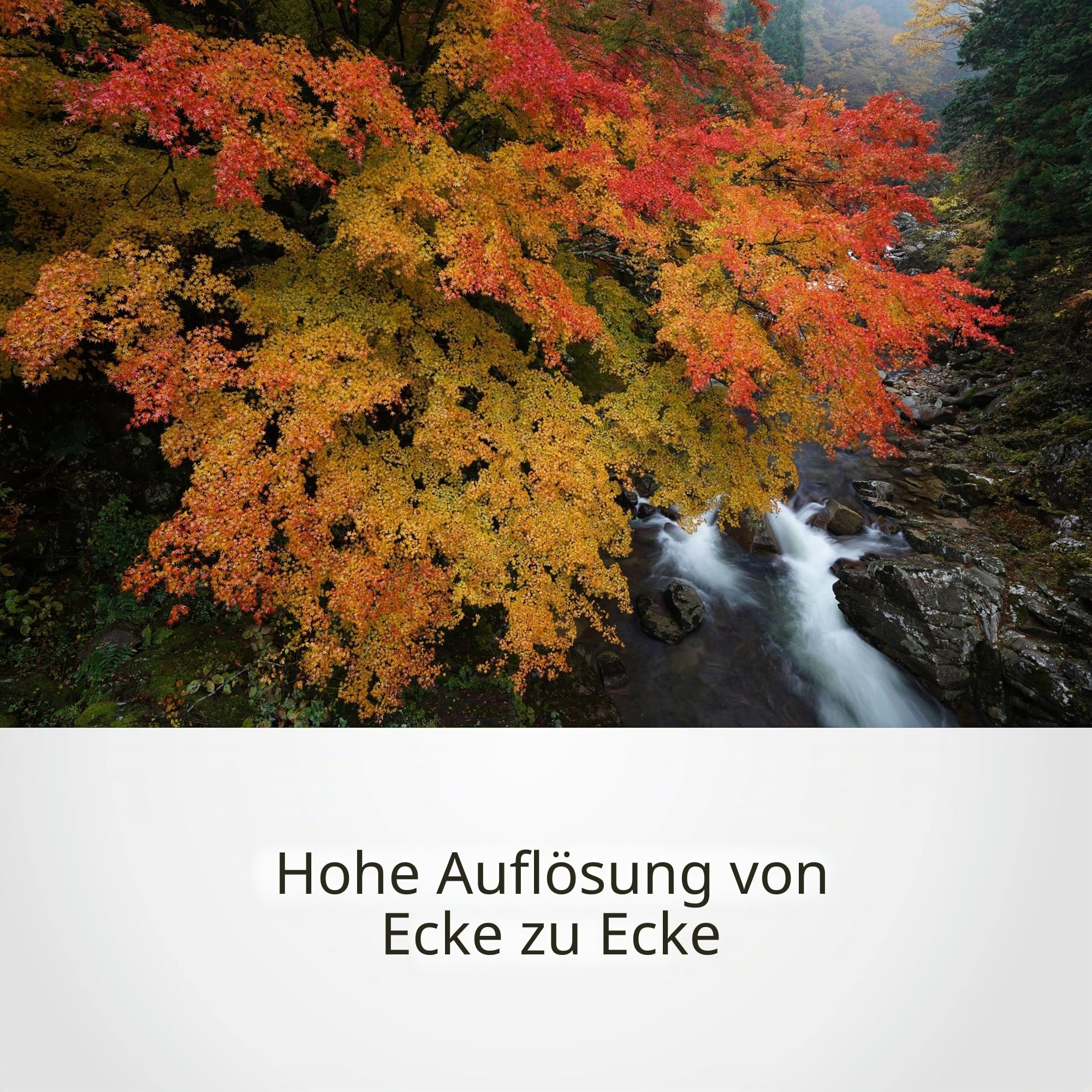 sony-sel1635gm-16-35mm-f2-8-g-master-weitwinkel-zoom-e-mount image 6